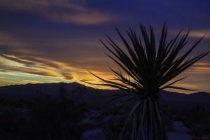 Sunset in Indio, CA